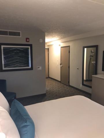 Holiday Inn - Bloomington - Normal By Ihg Buitenkant foto